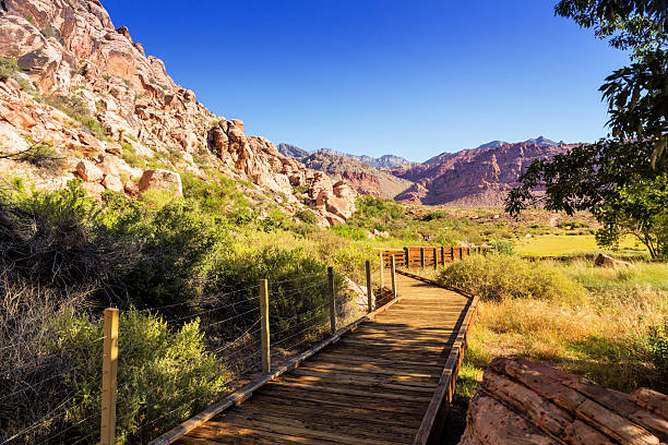 レッドロックキャニオン - red rock canyon national conservation area ストックフォトと画像