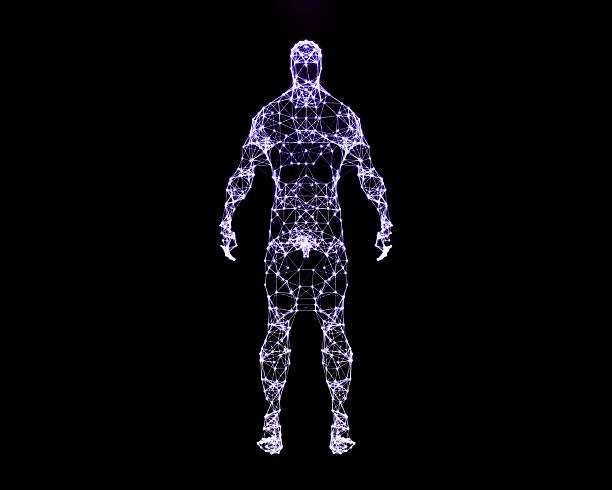 istock Digital illustration of human body 505399372
