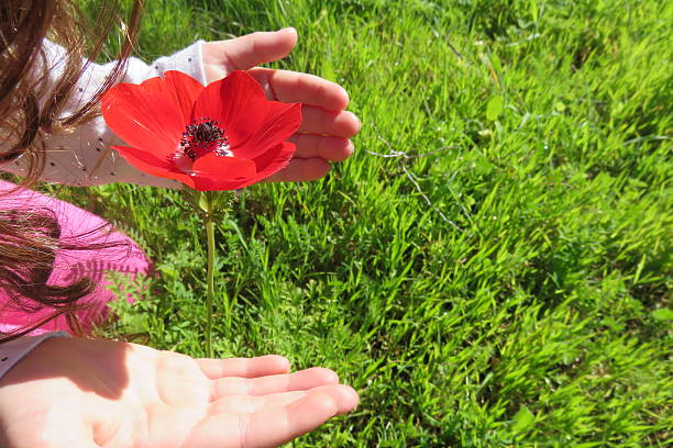 istock little girl protects Flower 505399800
