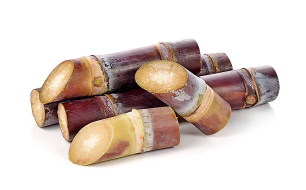 istock sugarcane isolated on white backgroun 505401048