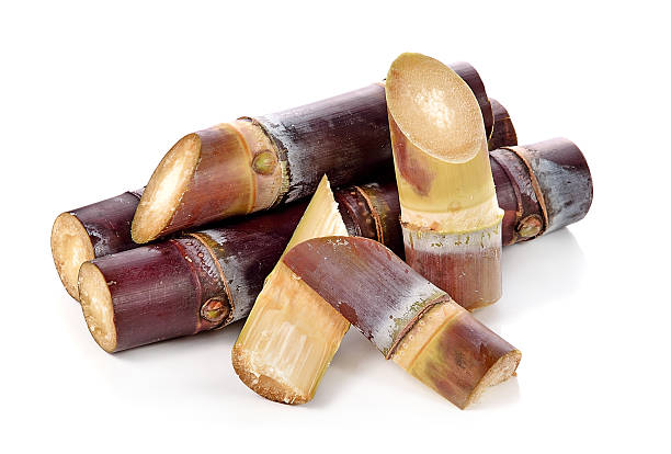 istock sugarcane isolated on white backgroun 505401190