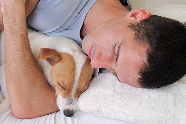 istock Sleeping dog and owner. Man and dog sleeping together 505404436