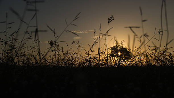 istock Sunrise in Lanta 505406618