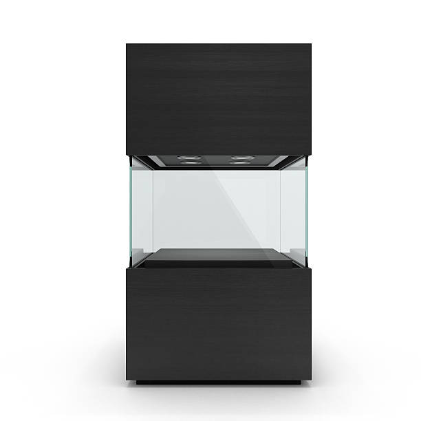 istock empty black showcase with pedestal and lighting, perspective 505406632