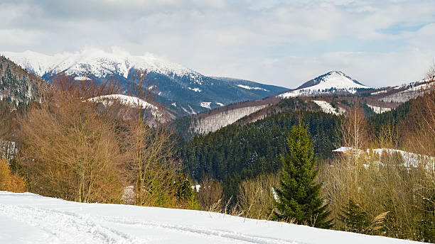 istock Snow covered landscape, view from Donovaly resort, Slovakia 505407036
