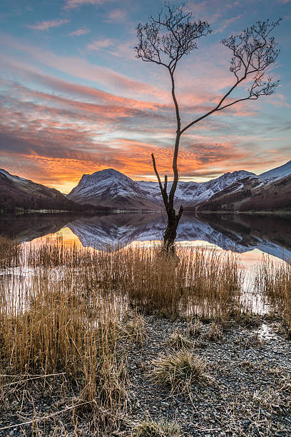 istock Lone Tree At Buttermere With Orange Sunrise And Snowcapped Mountains. 505409054