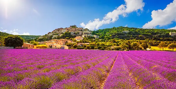 Photo of Simiane la Rotonde village and lavender panorama. Provence, Fran
