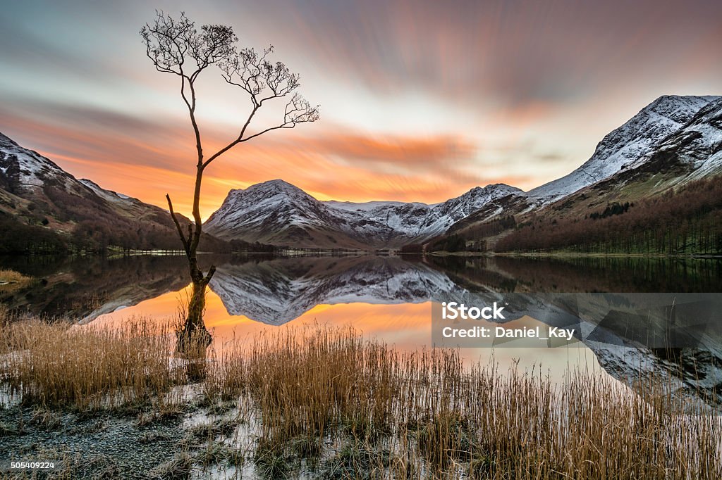 Dramatic Orange Sunrise Over Snow Covered Mountains With Reflections. A dramatic winter orange sunrise over Buttermere in the Lake District, UK. The photograph features a bare tree with the Cumbrian mountains in the background covered in snow. Clear reflections can be seen in the lake. English Lake District Stock Photo