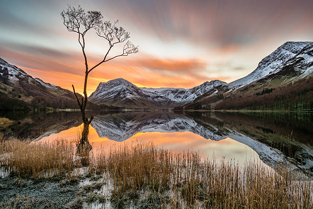 Dramatic Orange Sunrise Over Snow Covered Mountains With Reflections. A dramatic winter orange sunrise over Buttermere in the Lake District, UK. The photograph features a bare tree with the Cumbrian mountains in the background covered in snow. Clear reflections can be seen in the lake. english lake district photos stock pictures, royalty-free photos & images