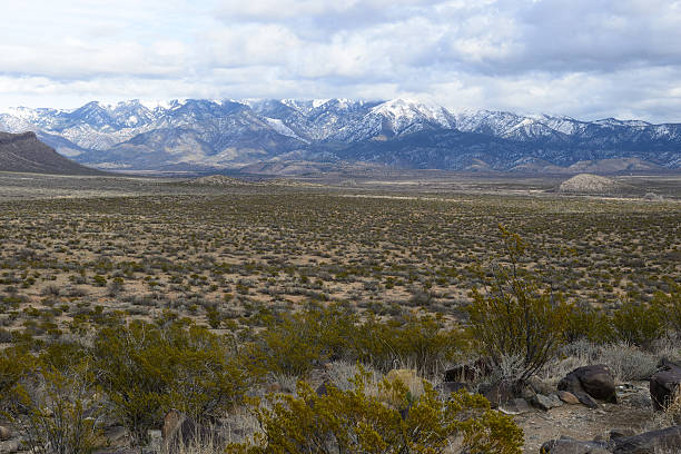 istock Mountain and Prairie in New Mexico 505412172