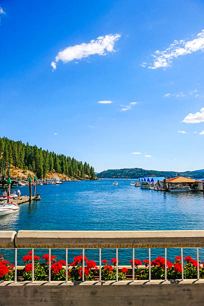 lake coeur d'alene dans l'idaho - dalene photos et images de collection