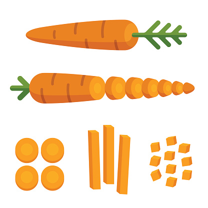 Different carrot cuts: sliced, cubed and cut in matchstick shape. Cooking illustration in modern flat vector style.
