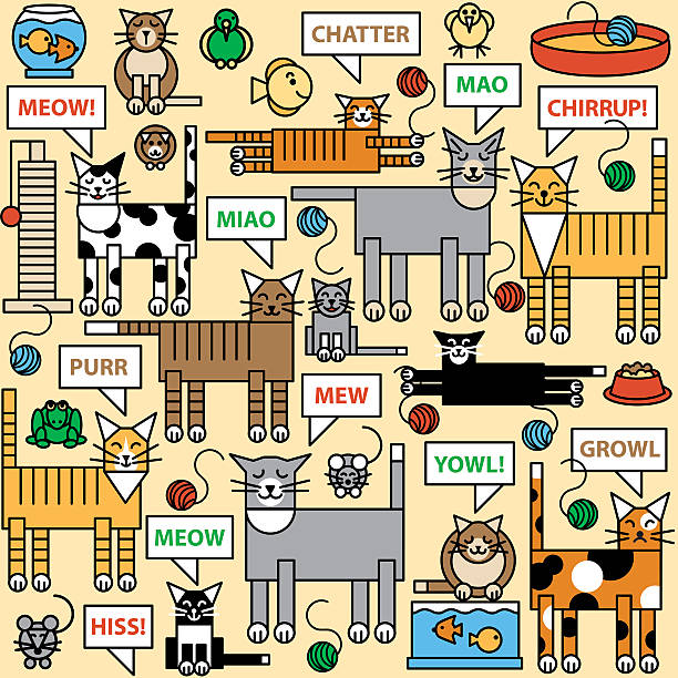 ilustraciones, imágenes clip art, dibujos animados e iconos de stock de ¿qué decir de gatos - chirrup