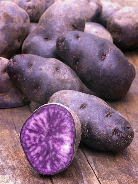 Vitelotte blue-violet potato (Solanum × ajanhuiri Vitelotte Noir)
