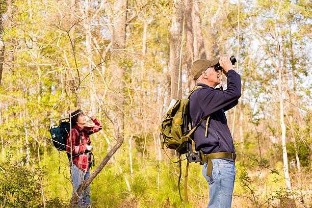 istock Seniors: Active senior couple outdoors hiking in forest. Nature. 505439651
