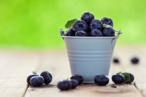 Fresh Blueberries in a Bucket