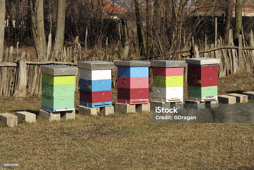 Bee Hive Bee Hives on a farm field. Agriculture Stock Photo