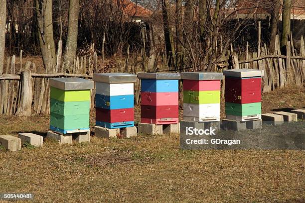Bee Hive Stock Photo - Download Image Now - Agriculture, Animal, Apiculture