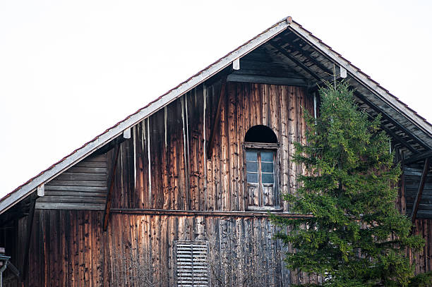 istock canton of St. Gallen 505440969