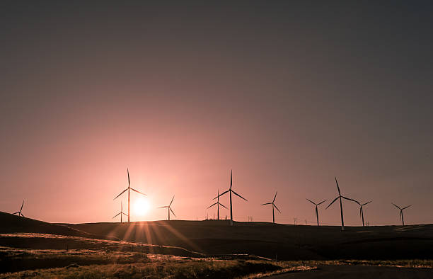 Wind power producing clean sustainable energy in a beautiful sun
