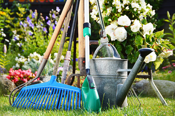 istock Watering can and tools in the garden 505442935