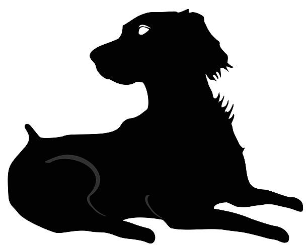istock Brittany Spaniel Silhouette, at rest  looking to right in black 505443193