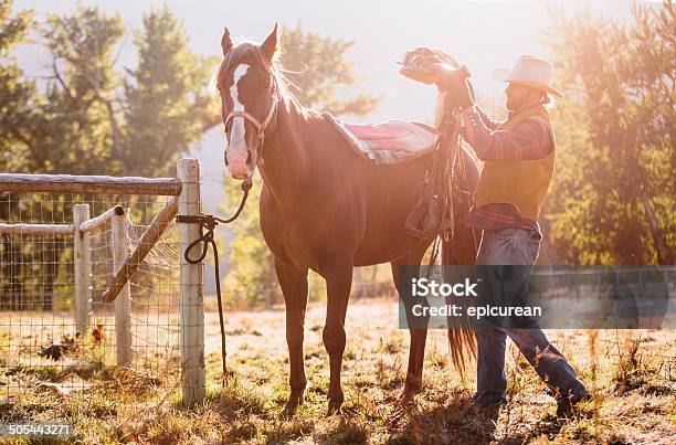 Mann Saddles Pferd Mit Den Nachbarn Post Im Feld Stockfoto und mehr Bilder von Blendenfleck - Blendenfleck, Butte, Cowboy