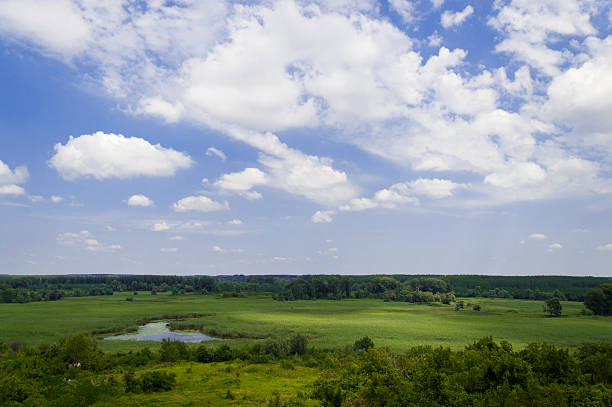 istock Swamp and blue sky with white clouds 505444057
