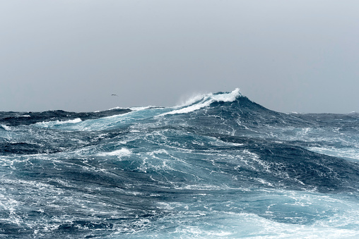 Big Ocean Swells in a Stormy Sea