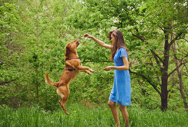 istock Woman is playing with dog 505466539