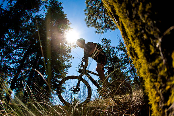 istock Mountain Bike Rider 505467388