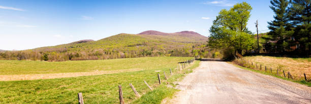 istock Dirt road leading to Vermont Appalachians mountain at Springtime 505468194