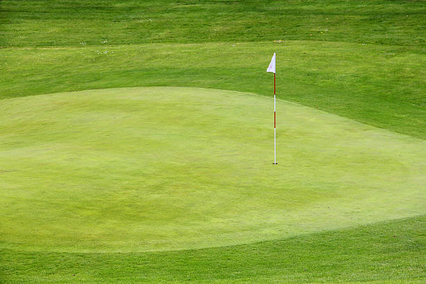 istock Golf flag on the green grass 505468277