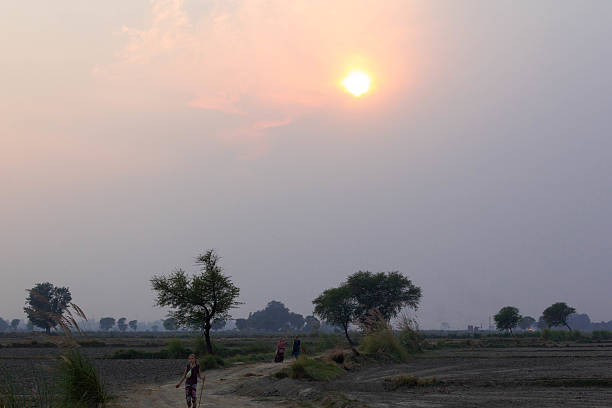 istock Sunset in rural area in Uttar Pradesh, India 505473074