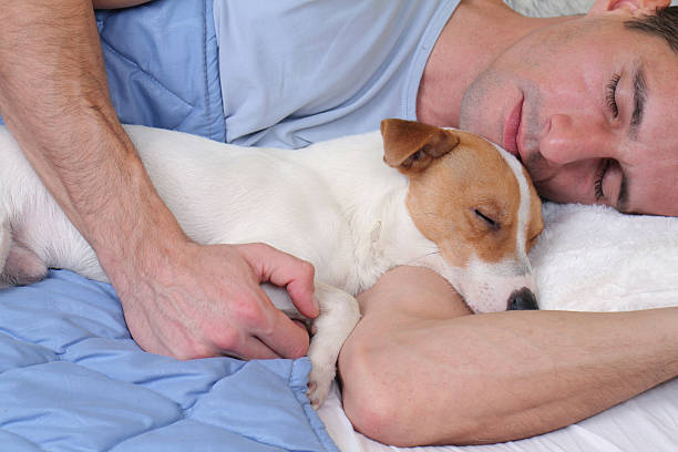 istock Sleeping dog and owner. Man and dog sleeping together 505473916