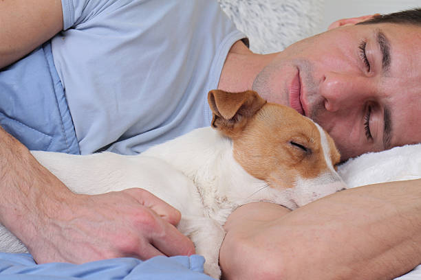 istock Sleeping dog and owner. Man and dog sleeping together 505473952