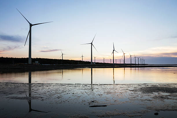 istock Gaomei wetlands in Taiwan 505475640
