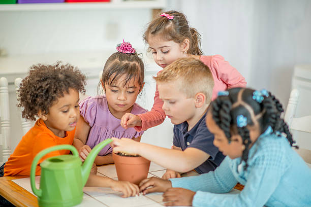 Planting Seeds in Dirt