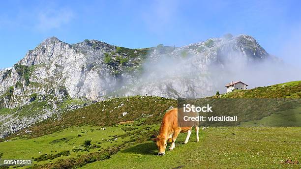 Splendida Natura Paesaggio Con Mucca - Fotografie stock e altre immagini di Cantabria - Cantabria, Pascolo, Prateria - Campo