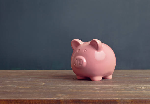 istock Piggy bank 505482827