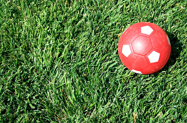 istock Red Chew Toy Soccer Ball On Grass 505483767
