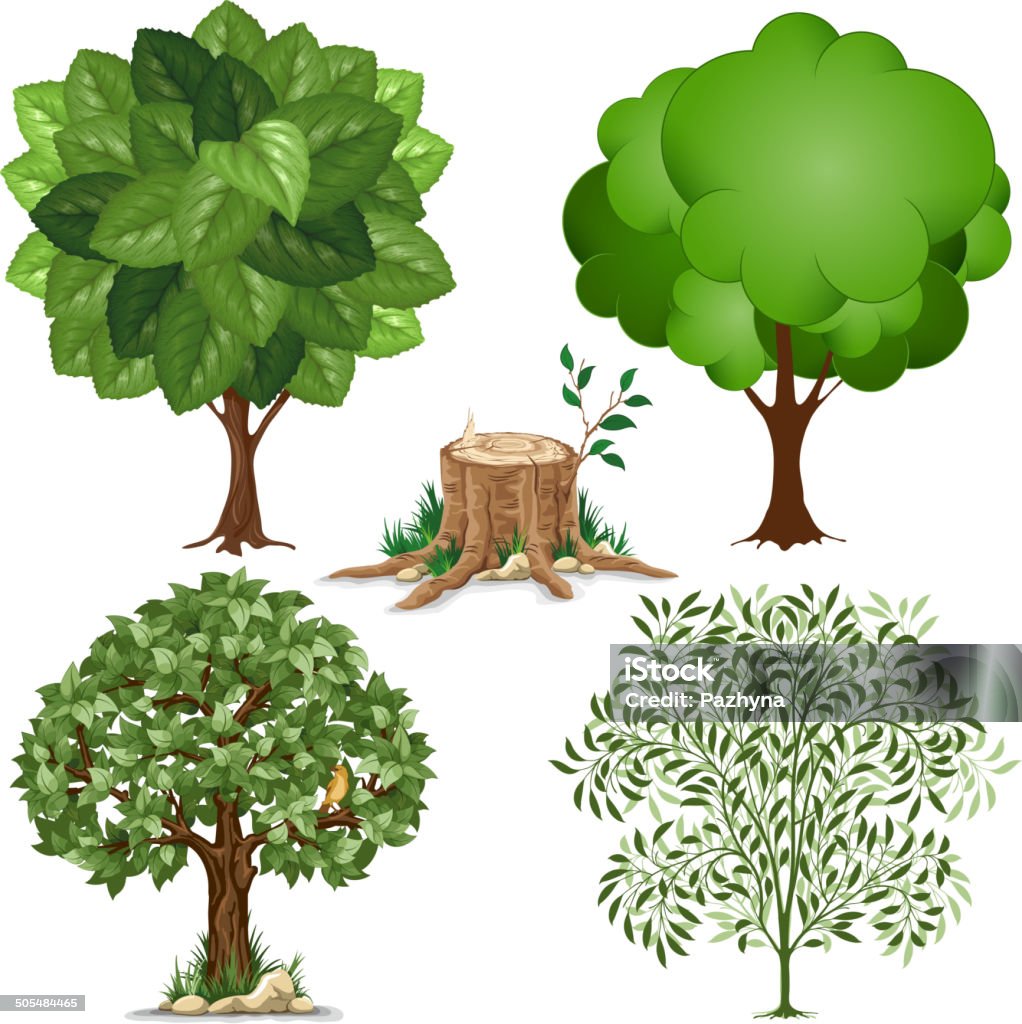 Set of trees Set of trees pictured in different style and stump. Beauty In Nature stock vector