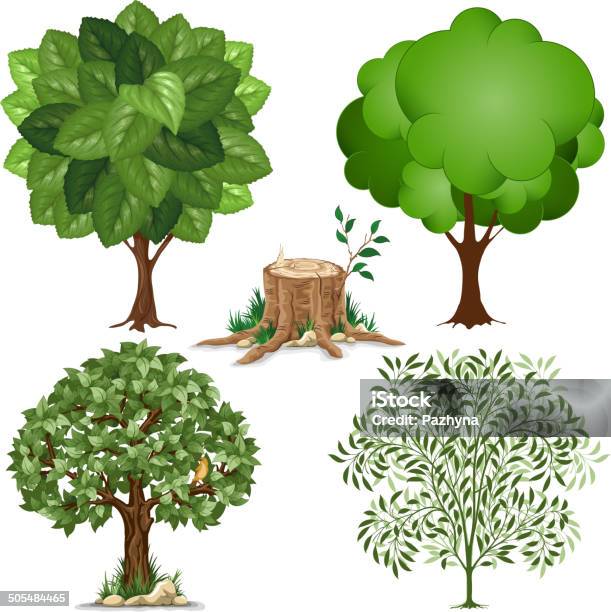 Set Of Trees Stock Illustration - Download Image Now - Beauty In Nature, Botany, Branch - Plant Part