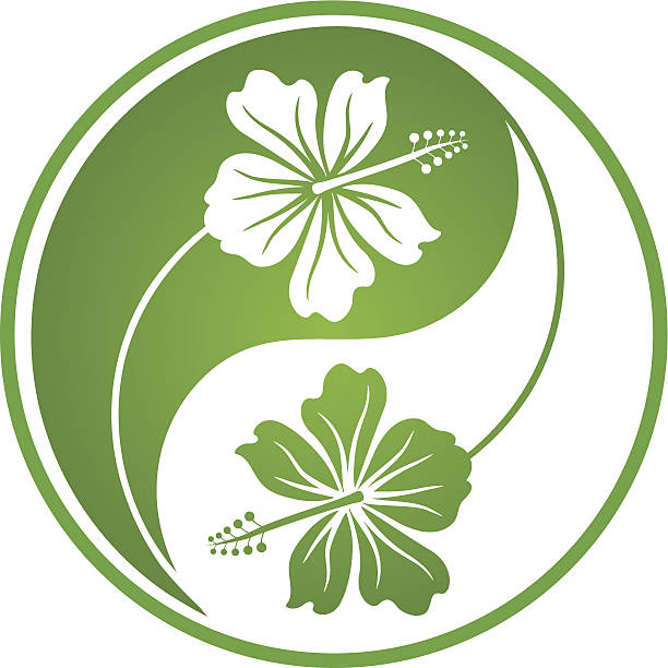 тропический шар инь-ян - yin yang symbol taoism herbal medicine symbol stock illustrations