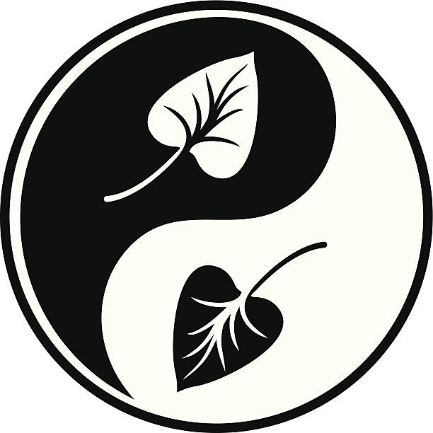 зеленый шар инь-ян - yin yang symbol taoism herbal medicine symbol stock illustrations