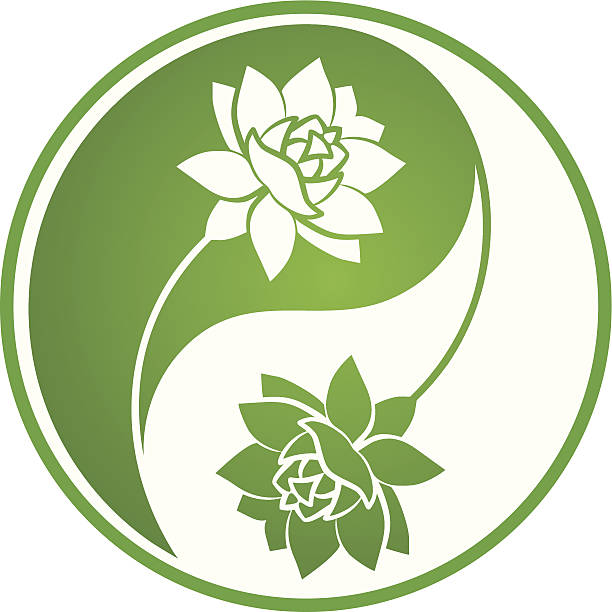 lotus yin yang - yin yang symbol lotus illustration and painting yin yang ball stock illustrations