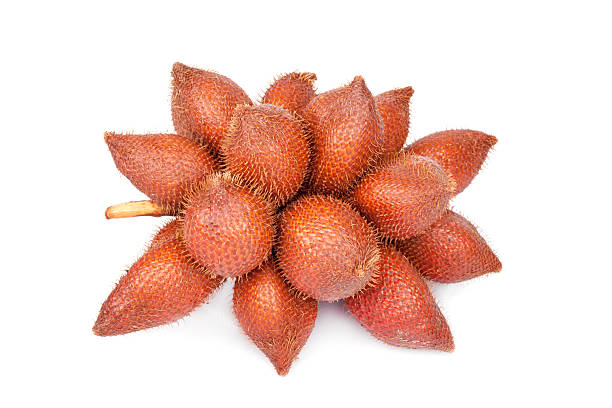 istock Salacca or zalacca tropical fruit isolated on white background 505486505
