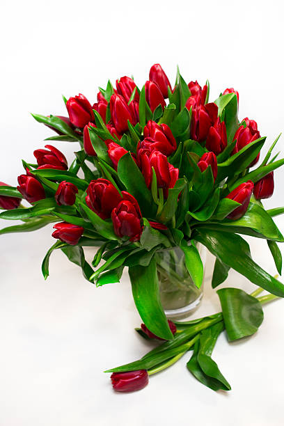 istock Bouquet of red tulips isolated on white background 505487458