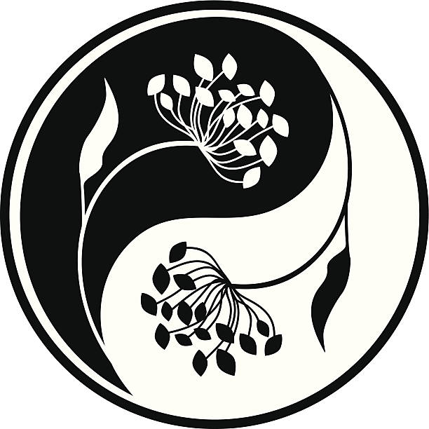 Yin Yang Symbol Herbal Medicine Yin Yang Ball Symbol Illustrations ...