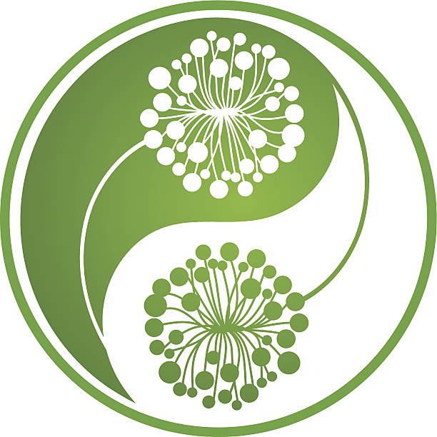 инь ян x - yin yang symbol taoism herbal medicine symbol stock illustrations